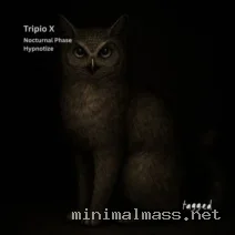 Tripio X – Nocturnal Phase Hypnotize cover
