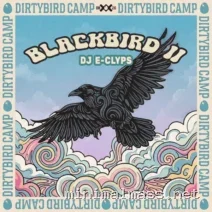 VA – Blackbird II cover