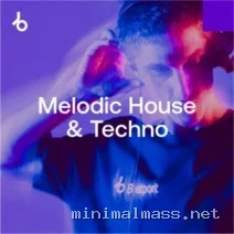 VA – In The Remix 2026 Melodic House & Techno cover