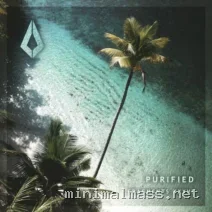 VA – Purified Fragments XXXVI cover