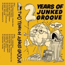 VA – Two Years of Junked Groove cover