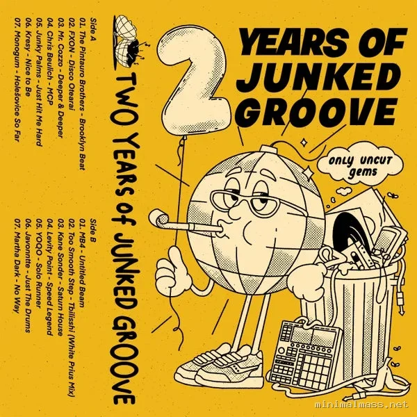 VA – Two Years of Junked Groove