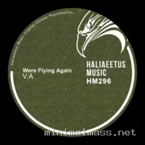 VA – Were Flying Again cover