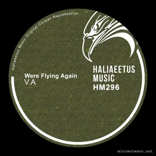 VA – Were Flying Again
