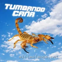 W.O.L.F., quip – Tumbando Caña cover