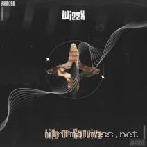 WizzX – Life or Survive cover