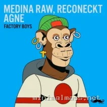 Agnė, Medina Raw, Reconeckt – Factory Boys cover