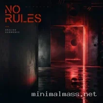 Analog Harmonic – No Rules cover