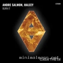 Andre Salmon, Haleey – Burn It cover