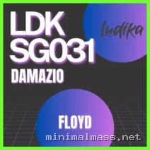Damazio – Floyd cover