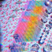 Four Tet, Tony Romera, RamonPang – Baby Love Cry cover