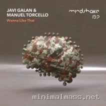 Javi Galan, Manuel Torcello – Wanna Like That cover