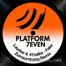 Laydee V, 411silks – Fake (Zumzumbang Remix) cover