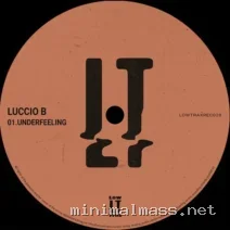 Luccio B – Underfeeling cover