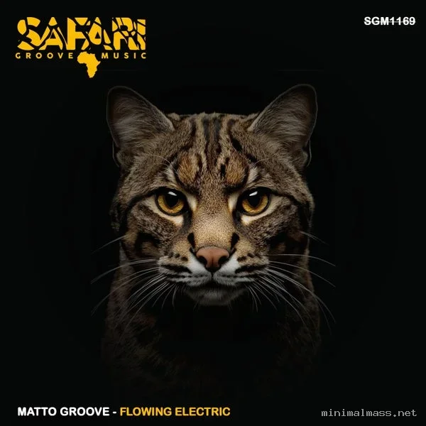 MATTO GROOVE – Flowing Electric