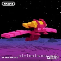 Mandiz – In This Matrix cover