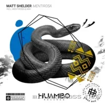 Matt Shelder – Mentirosa cover