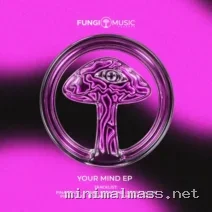 PINAMUSIC – YOUR MIND EP cover