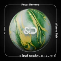Peter Romero – Wanna Talk (Extended Mix) cover