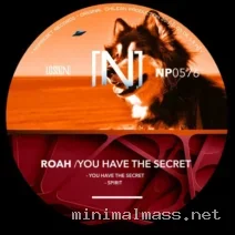 Roah – You Have The Secret cover