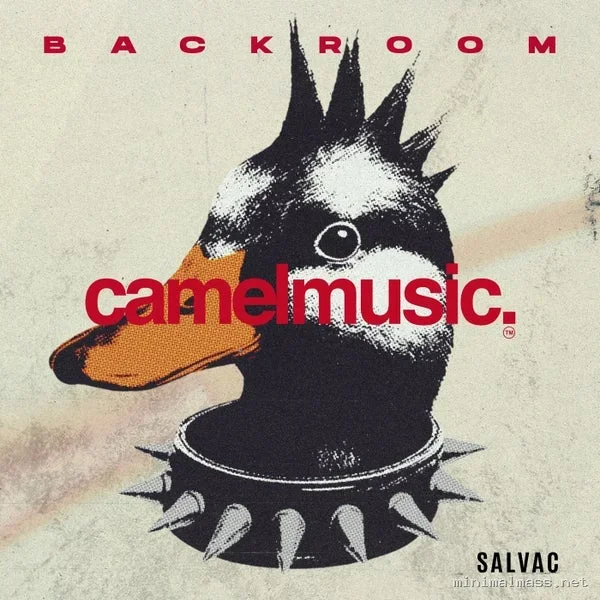 SALVAC – Backroom