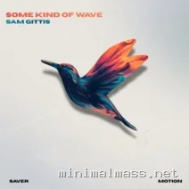Sam Gittis – Some Kind of Wave cover