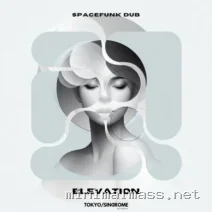 Spacefunk Dub – Elevation cover