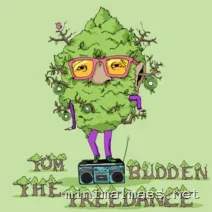 Tom Budden – The Tree Dance cover