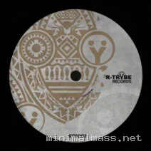 VA – R-TRYBE 007 cover