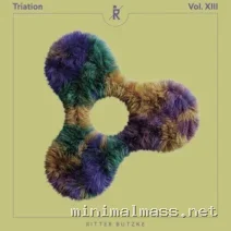 VA – Triation XIII cover
