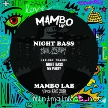 Willy M – Night Bass cover