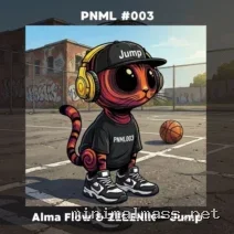 ZELENIN, Alma Flow – Jump cover