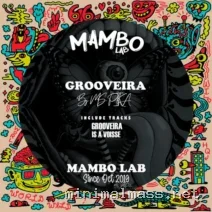 Ms Pika – Grooveira cover