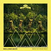 Mollono.Bass – Bass In Your Face cover