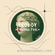 Ekoboy – I Wanna Feel cover