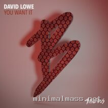 David Lowe – You Want It cover