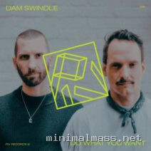 Dam Swindle – Do What You Want EP cover