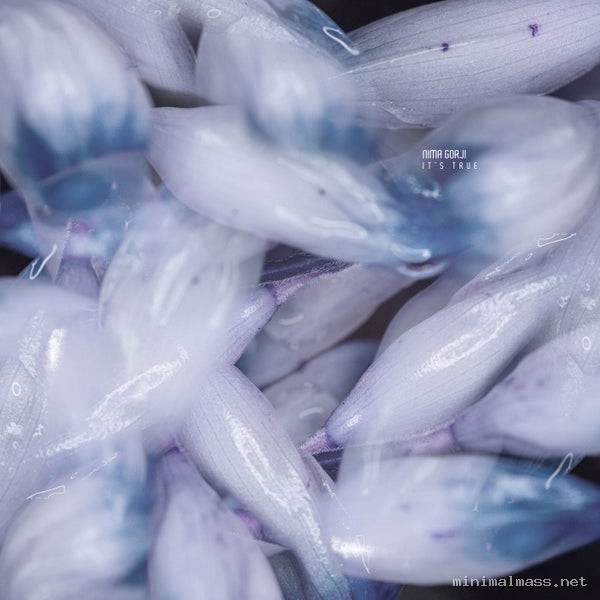 Nima Gorji – It’s True