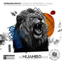 Hermann Bravo – Coming up Stronger (The Remixes) cover