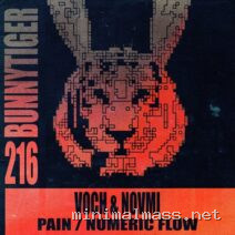 Voch, NOVMI – Pain _ Numeric Flow cover