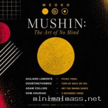 VA – Mushin_ The Art Of No Mind cover