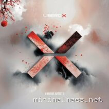 VA – Various Artists 001 cover