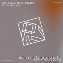 Riva Starr, Prunk, Danny Losito – I Want Your Love cover