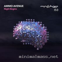 Ammo Avenue – Night Begins cover