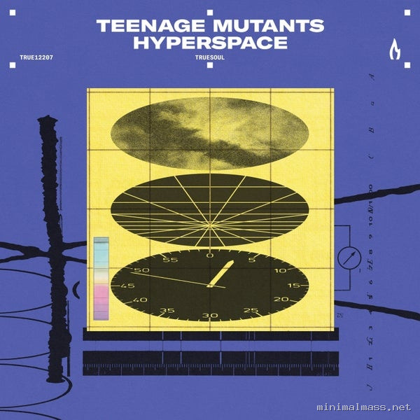 Teenage Mutants – Hyperspace