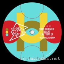 RISCAT, Hans Groover – Like That EP cover