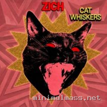 Zich – Cat Whiskers cover
