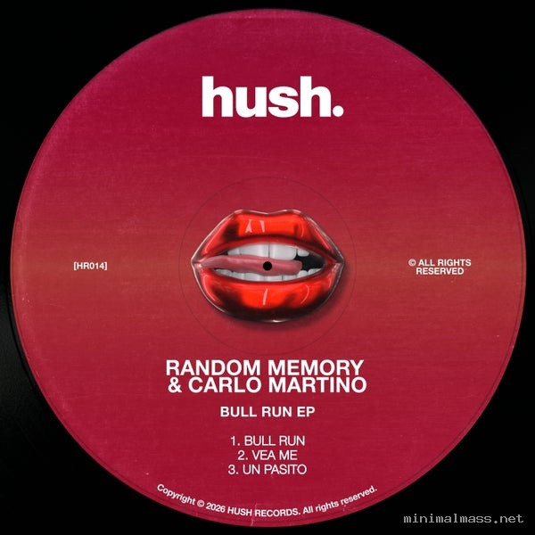 Carlo Martino, Random Memory – Bull Run