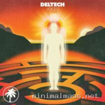 Deltech – Voices cover