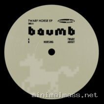 Baumb – Twarf Horse cover